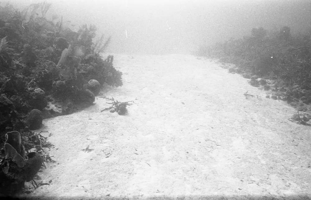 **mediaID: **10.5281/zenodo.22663465-IMG0037.png<br>**year: **1966<br>**waterBody: **Caribbean Sea<br>**country: **Jamaica<br>**county: **Saint Ann Parish, Middlesex County<br>**municipality: **Discovery Bay<br>**location: **<br>**decimalLongitude: **-77.40908<br>**decimalLatitude: **18.47322<br>**georeferenceRemarks: **Exact coordinates unknown. Inferred from site map. Coordinates precise to approximately 0.0025 degress (~250 m).<br>**mediaComments: **