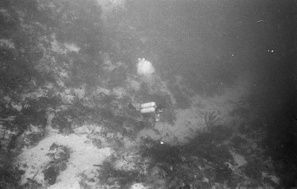 **mediaID: **10.5281/zenodo.22663465-IMG0189.png<br>**year: **1967<br>**waterBody: **Caribbean Sea<br>**country: **Jamaica<br>**county: **Saint Ann Parish, Middlesex County<br>**municipality: **Discovery Bay<br>**location: **<br>**decimalLongitude: **-77.414<br>**decimalLatitude: **18.474<br>**georeferenceRemarks: **Exact coordinates unknown. Inferred from site map. Coordinates precise to approximately 0.0025 degress (~250 m).<br>**mediaComments: **