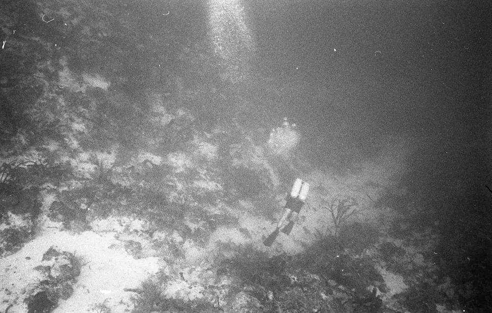 **mediaID: **10.5281/zenodo.22663465-IMG0191.png<br>**year: **1968<br>**waterBody: **Caribbean Sea<br>**country: **Jamaica<br>**county: **Saint Ann Parish, Middlesex County<br>**municipality: **Discovery Bay<br>**location: **<br>**decimalLongitude: **-77.334<br>**decimalLatitude: **18.467<br>**georeferenceRemarks: **Exact coordinates unknown. Inferred from site map. Coordinates precise to approximately 0.0025 degress (~250 m).<br>**mediaComments: **