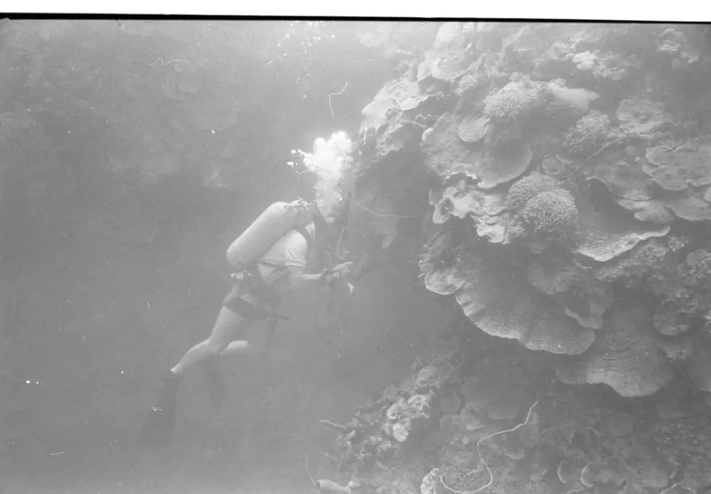 **mediaID: **10.5281/zenodo.22663465-IMG0299.png<br>**year: **1966<br>**waterBody: **Caribbean Sea<br>**country: **Jamaica<br>**county: **Saint Ann Parish, Middlesex County<br>**municipality: **Discovery Bay<br>**location: **<br>**decimalLongitude: **-77.35867<br>**decimalLatitude: **18.4635<br>**georeferenceRemarks: **Exact coordinates unknown. Inferred from site map. Coordinates precise to approximately 0.0025 degress (~250 m).<br>**mediaComments: **Exact date unknown, likely between 1966 and 1968. 1966 used as inferred year.