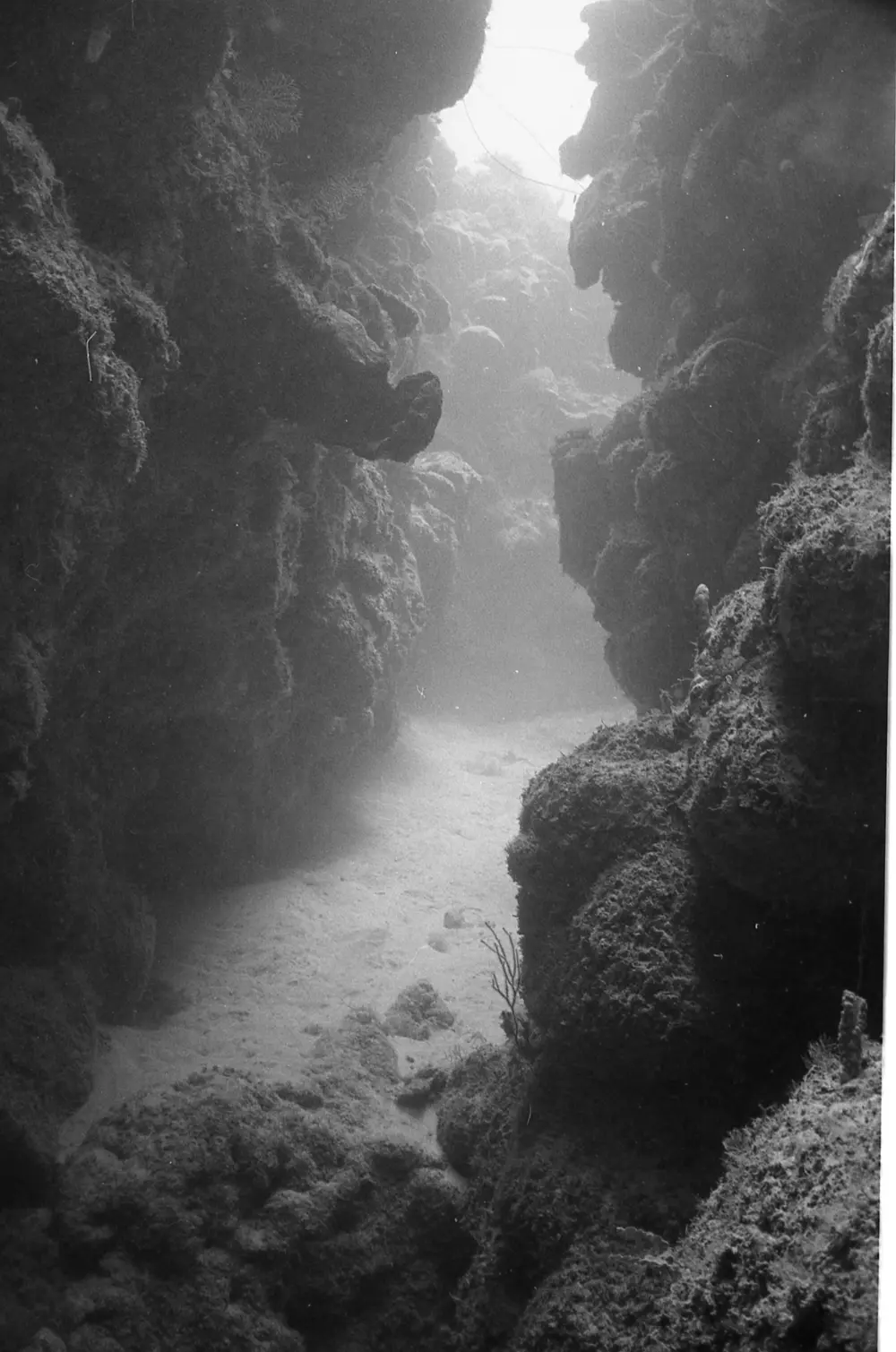**mediaID: **10.5281/zenodo.22663465-IMG0305.png<br>**year: **1966<br>**waterBody: **Caribbean Sea<br>**country: **Jamaica<br>**county: **Saint Ann Parish, Middlesex County<br>**municipality: **Discovery Bay<br>**location: **<br>**decimalLongitude: **-77.35867<br>**decimalLatitude: **18.4635<br>**georeferenceRemarks: **Exact coordinates unknown. Inferred from site map. Coordinates precise to approximately 0.0025 degress (~250 m).<br>**mediaComments: **Exact date unknown, likely between 1966 and 1968. 1966 used as inferred year.