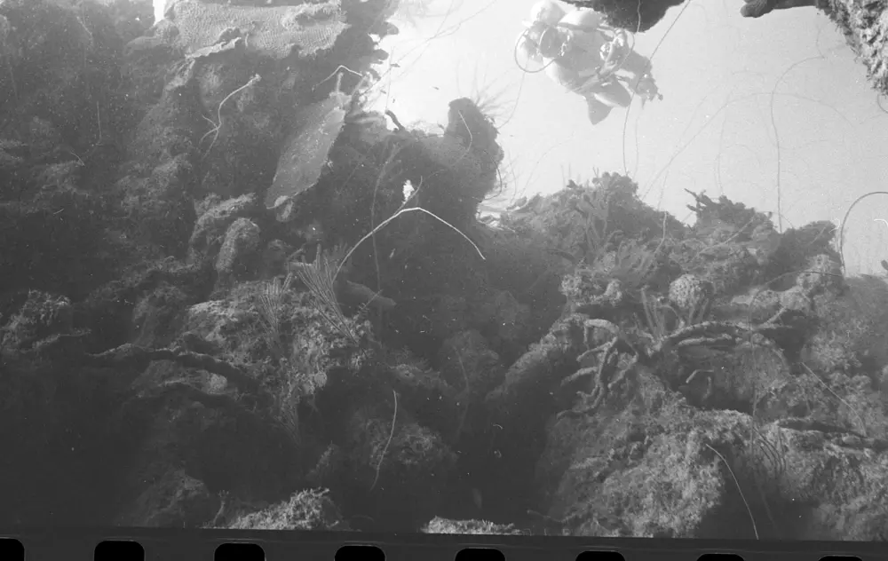 **mediaID: **10.5281/zenodo.22663465-IMG0318.png<br>**year: **1966<br>**waterBody: **Caribbean Sea<br>**country: **Jamaica<br>**county: **Saint Ann Parish, Middlesex County<br>**municipality: **Discovery Bay<br>**location: **<br>**decimalLongitude: **-77.35867<br>**decimalLatitude: **18.4635<br>**georeferenceRemarks: **Exact coordinates unknown. Inferred from site map. Coordinates precise to approximately 0.0025 degress (~250 m).<br>**mediaComments: **Exact date unknown, likely between 1966 and 1968. 1966 used as inferred year.