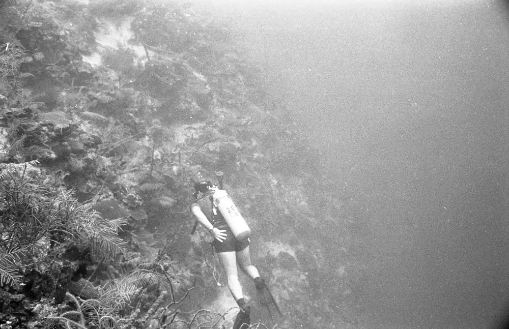 **mediaID: **10.5281/zenodo.22663465-IMG0376.png<br>**year: **1967<br>**waterBody: **Caribbean Sea<br>**country: **Jamaica<br>**county: **Saint Ann Parish, Middlesex County<br>**municipality: **Discovery Bay<br>**location: **<br>**decimalLongitude: **-77.41017<br>**decimalLatitude: **18.47367<br>**georeferenceRemarks: **Exact coordinates unknown. Inferred from site map. Coordinates precise to approximately 0.0025 degress (~250 m).<br>**mediaComments: **