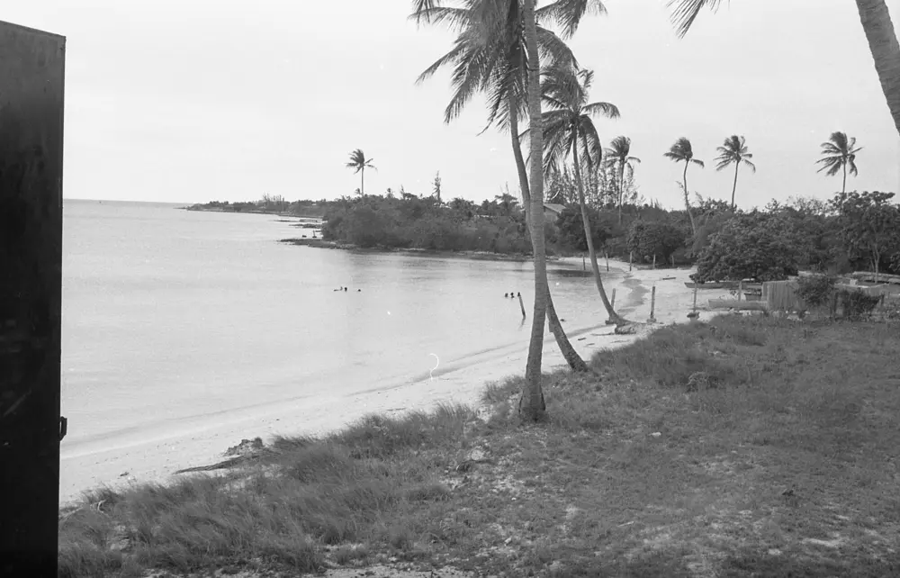 **mediaID: **10.5281/zenodo.22663465-IMG0385.png<br>**year: **1967<br>**waterBody: **Caribbean Sea<br>**country: **Jamaica<br>**county: **Saint Ann Parish, Middlesex County<br>**municipality: **Discovery Bay<br>**location: **<br>**decimalLongitude: **-77.41543<br>**decimalLatitude: **18.468618<br>**georeferenceRemarks: **Exact coordinates unknown, Discovery Bay Marine Lab used as point of reference.<br>**mediaComments: **