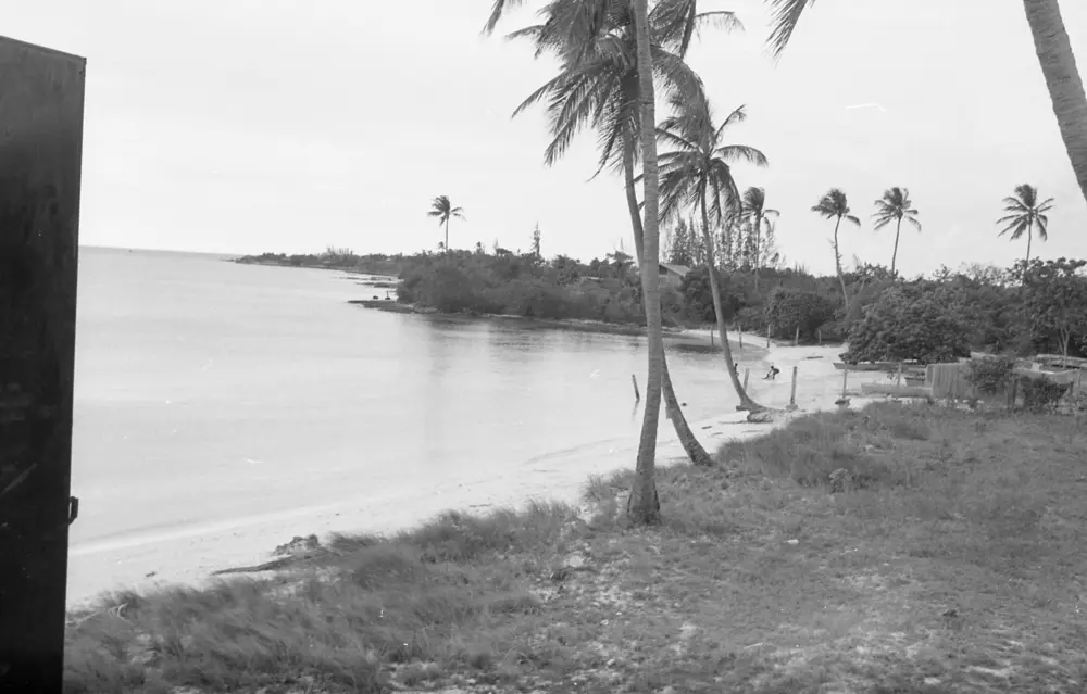 **mediaID: **10.5281/zenodo.22663465-IMG0386.png<br>**year: **1967<br>**waterBody: **Caribbean Sea<br>**country: **Jamaica<br>**county: **Saint Ann Parish, Middlesex County<br>**municipality: **Discovery Bay<br>**location: **<br>**decimalLongitude: **-77.41543<br>**decimalLatitude: **18.468618<br>**georeferenceRemarks: **Exact coordinates unknown, Discovery Bay Marine Lab used as point of reference.<br>**mediaComments: **