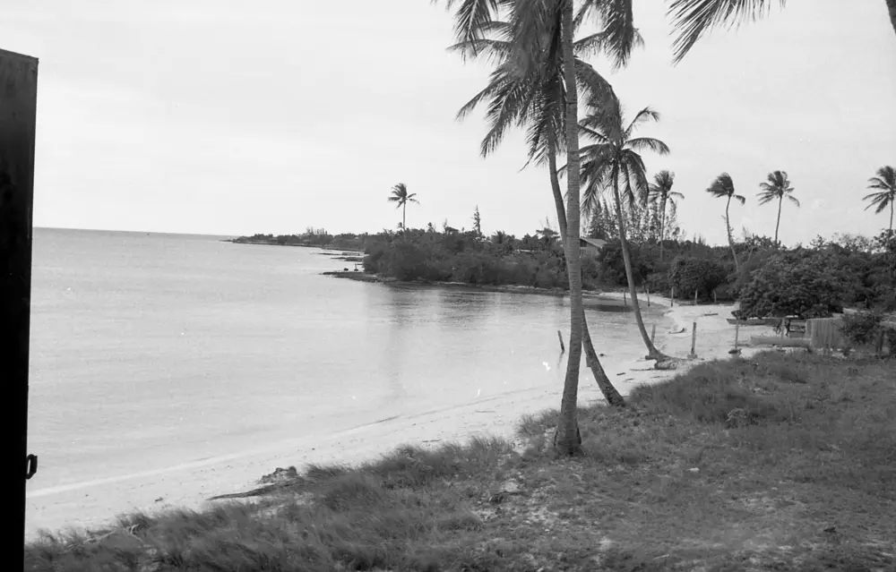 **mediaID: **10.5281/zenodo.22663465-IMG0387.png<br>**year: **1967<br>**waterBody: **Caribbean Sea<br>**country: **Jamaica<br>**county: **Saint Ann Parish, Middlesex County<br>**municipality: **Discovery Bay<br>**location: **<br>**decimalLongitude: **-77.41543<br>**decimalLatitude: **18.468618<br>**georeferenceRemarks: **Exact coordinates unknown, Discovery Bay Marine Lab used as point of reference.<br>**mediaComments: **