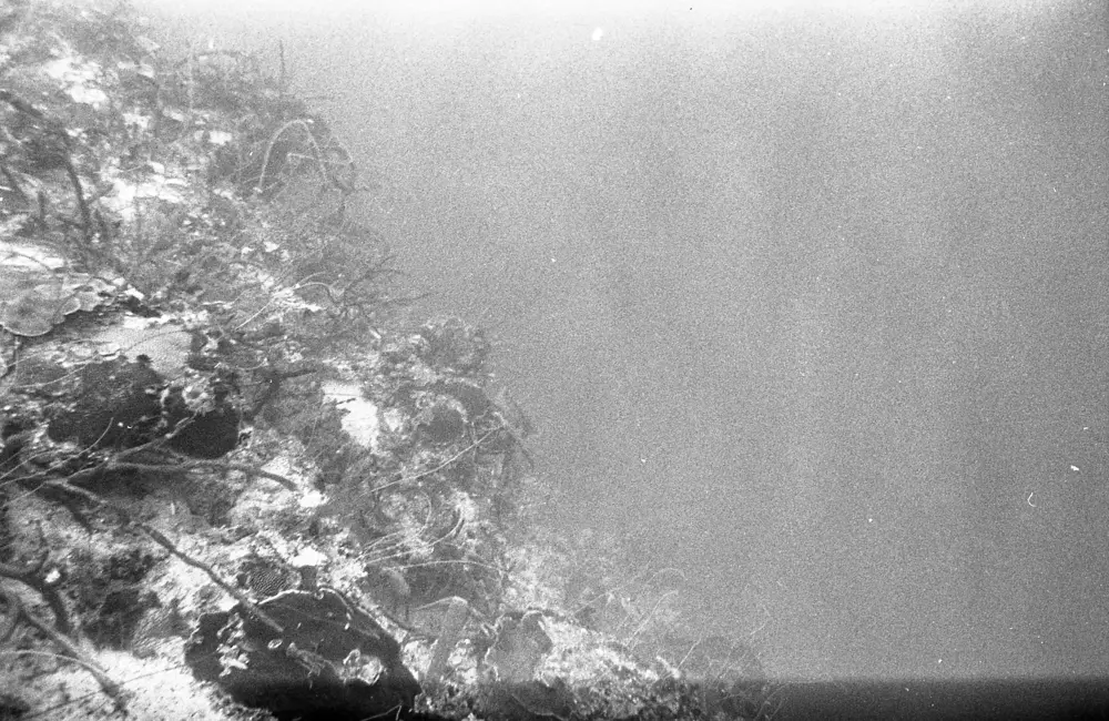 **mediaID: **10.5281/zenodo.22663465-IMG0400.png<br>**year: **1967<br>**waterBody: **Caribbean Sea<br>**country: **Jamaica<br>**county: **Saint Ann Parish, Middlesex County<br>**municipality: **Discovery Bay<br>**location: **<br>**decimalLongitude: **-77.41017<br>**decimalLatitude: **18.47367<br>**georeferenceRemarks: **Exact coordinates unknown. Inferred from site map. Coordinates precise to approximately 0.0025 degress (~250 m).<br>**mediaComments: **