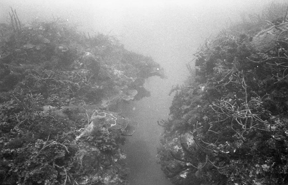 **mediaID: **10.5281/zenodo.22663465-IMG0431.png<br>**year: **1967<br>**waterBody: **Caribbean Sea<br>**country: **Jamaica<br>**county: **Saint Ann Parish, Middlesex County<br>**municipality: **Discovery Bay<br>**location: **<br>**decimalLongitude: **-76.886<br>**decimalLatitude: **18.399<br>**georeferenceRemarks: **Exact coordinates unknown. Inferred from site map. Coordinates precise to approximately 0.0025 degress (~250 m).<br>**mediaComments: **
