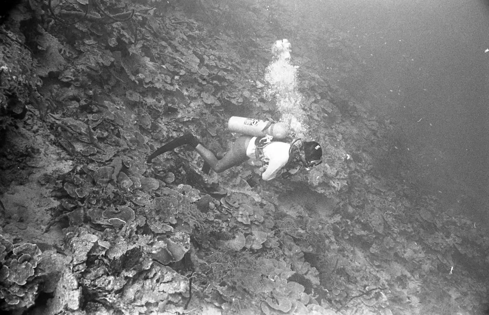 **mediaID: **10.5281/zenodo.22663465-IMG0460.png<br>**year: **1967<br>**waterBody: **Caribbean Sea<br>**country: **Jamaica<br>**county: **Saint Ann Parish, Middlesex County<br>**municipality: **Discovery Bay<br>**location: **<br>**decimalLongitude: **-77.39<br>**decimalLatitude: **18.47167<br>**georeferenceRemarks: **Exact coordinates unknown. Inferred from site map. Coordinates precise to approximately 0.0025 degress (~250 m).<br>**mediaComments: **