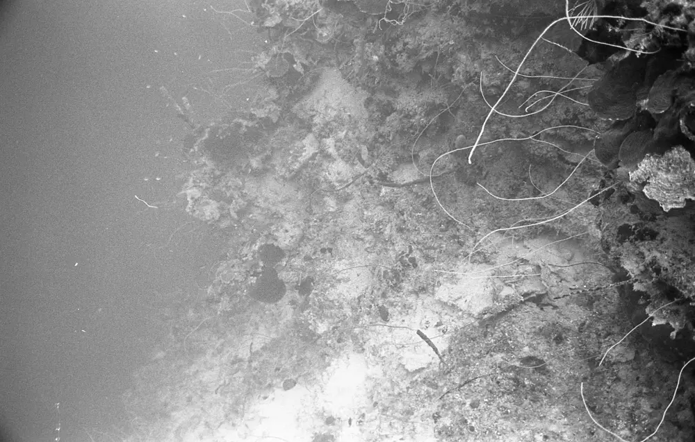 **mediaID: **10.5281/zenodo.22663465-IMG0486.png<br>**year: **1967<br>**waterBody: **Caribbean Sea<br>**country: **Jamaica<br>**county: **Saint Ann Parish, Middlesex County<br>**municipality: **Discovery Bay<br>**location: **<br>**decimalLongitude: **-77.39<br>**decimalLatitude: **18.47167<br>**georeferenceRemarks: **Exact coordinates unknown. Inferred from site map. Coordinates precise to approximately 0.0025 degress (~250 m).<br>**mediaComments: **