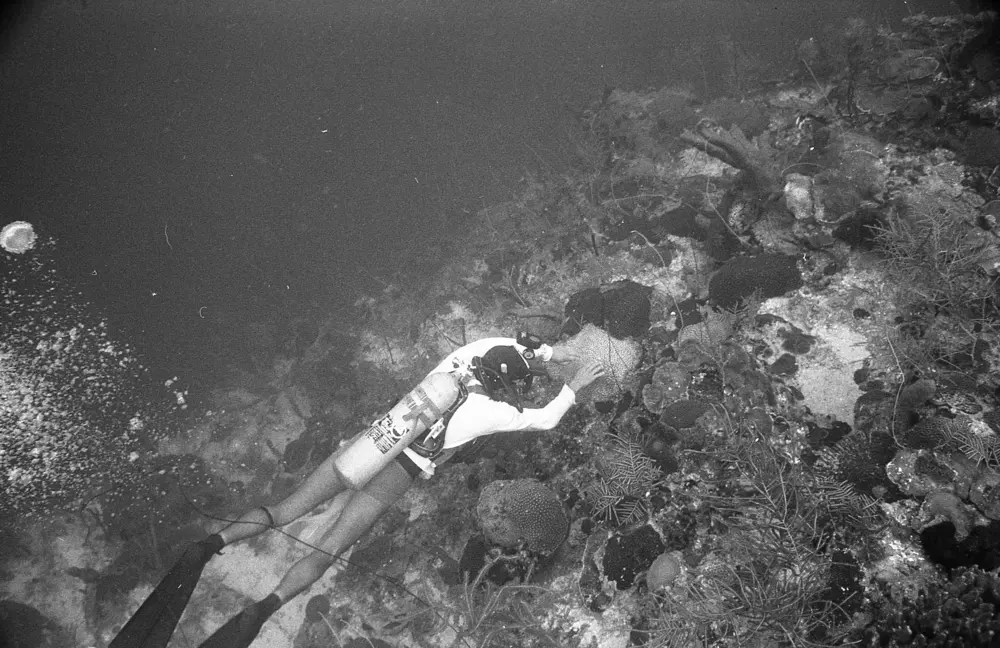 **mediaID: **10.5281/zenodo.22663465-IMG0503.png<br>**year: **1967<br>**waterBody: **Caribbean Sea<br>**country: **Jamaica<br>**county: **Saint Ann Parish, Middlesex County<br>**municipality: **Discovery Bay<br>**location: **<br>**decimalLongitude: **-77.41017<br>**decimalLatitude: **18.47367<br>**georeferenceRemarks: **Exact coordinates unknown. Inferred from site map. Coordinates precise to approximately 0.0025 degress (~250 m).<br>**mediaComments: **