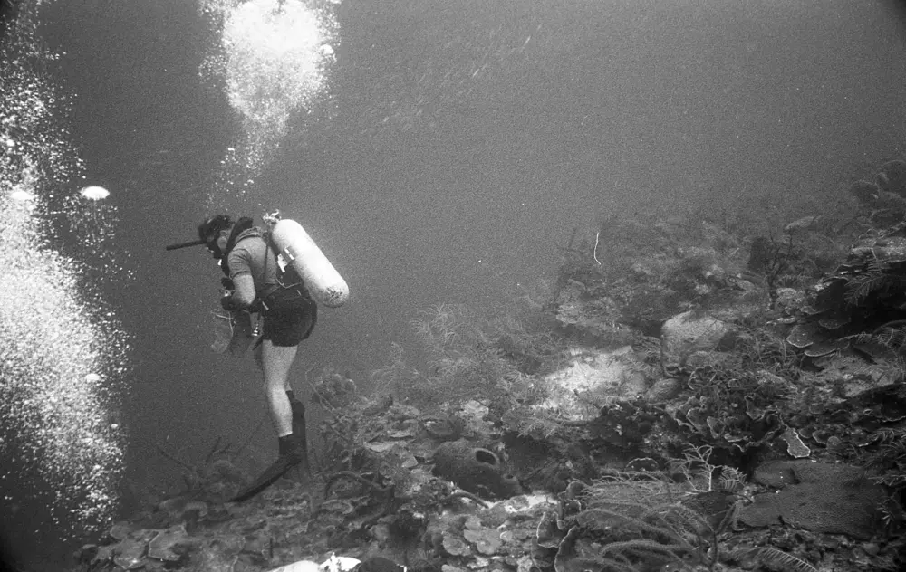 **mediaID: **10.5281/zenodo.22663465-IMG0505.png<br>**year: **1967<br>**waterBody: **Caribbean Sea<br>**country: **Jamaica<br>**county: **Saint Ann Parish, Middlesex County<br>**municipality: **Discovery Bay<br>**location: **<br>**decimalLongitude: **-77.41017<br>**decimalLatitude: **18.47367<br>**georeferenceRemarks: **Exact coordinates unknown. Inferred from site map. Coordinates precise to approximately 0.0025 degress (~250 m).<br>**mediaComments: **