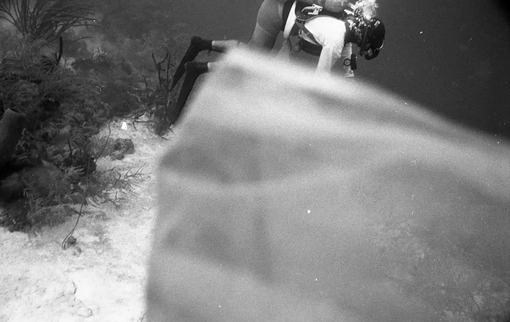 **mediaID: **10.5281/zenodo.22663465-IMG0508.png<br>**year: **1967<br>**waterBody: **Caribbean Sea<br>**country: **Jamaica<br>**county: **Saint Ann Parish, Middlesex County<br>**municipality: **Discovery Bay<br>**location: **<br>**decimalLongitude: **-77.41017<br>**decimalLatitude: **18.47367<br>**georeferenceRemarks: **Exact coordinates unknown. Inferred from site map. Coordinates precise to approximately 0.0025 degress (~250 m).<br>**mediaComments: **