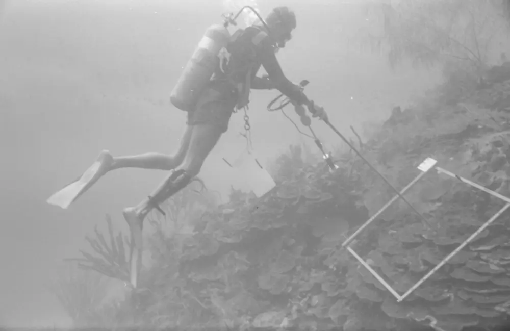 **mediaID: **10.5281/zenodo.22663465-IMG0624.png<br>**year: **1966<br>**waterBody: **Caribbean Sea<br>**country: **Jamaica<br>**county: **Saint Ann Parish, Middlesex County<br>**municipality: **Discovery Bay<br>**location: **<br>**decimalLongitude: **-77.40908<br>**decimalLatitude: **18.47322<br>**georeferenceRemarks: **Exact coordinates unknown. Inferred from site map. Coordinates precise to approximately 0.0025 degress (~250 m).<br>**mediaComments: **