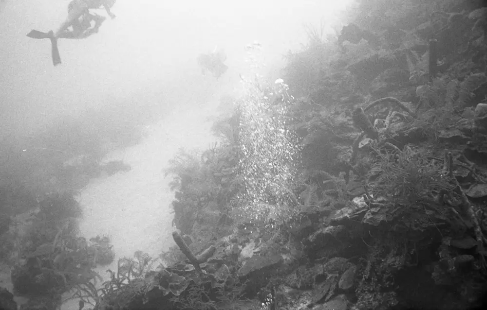 **mediaID: **10.5281/zenodo.22663465-IMG0693.png<br>**year: **1966<br>**waterBody: **Caribbean Sea<br>**country: **Jamaica<br>**county: **Saint Ann Parish, Middlesex County<br>**municipality: **Discovery Bay<br>**location: **<br>**decimalLongitude: **-77.38917<br>**decimalLatitude: **18.46917<br>**georeferenceRemarks: **Exact coordinates unknown. Inferred from site map. Coordinates precise to approximately 0.0025 degress (~250 m).<br>**mediaComments: **