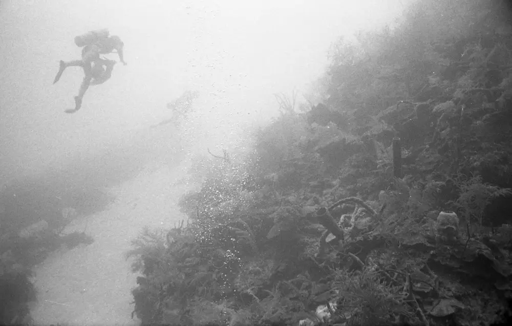 **mediaID: **10.5281/zenodo.22663465-IMG0694.png<br>**year: **1966<br>**waterBody: **Caribbean Sea<br>**country: **Jamaica<br>**county: **Saint Ann Parish, Middlesex County<br>**municipality: **Discovery Bay<br>**location: **<br>**decimalLongitude: **-77.38917<br>**decimalLatitude: **18.46917<br>**georeferenceRemarks: **Exact coordinates unknown. Inferred from site map. Coordinates precise to approximately 0.0025 degress (~250 m).<br>**mediaComments: **