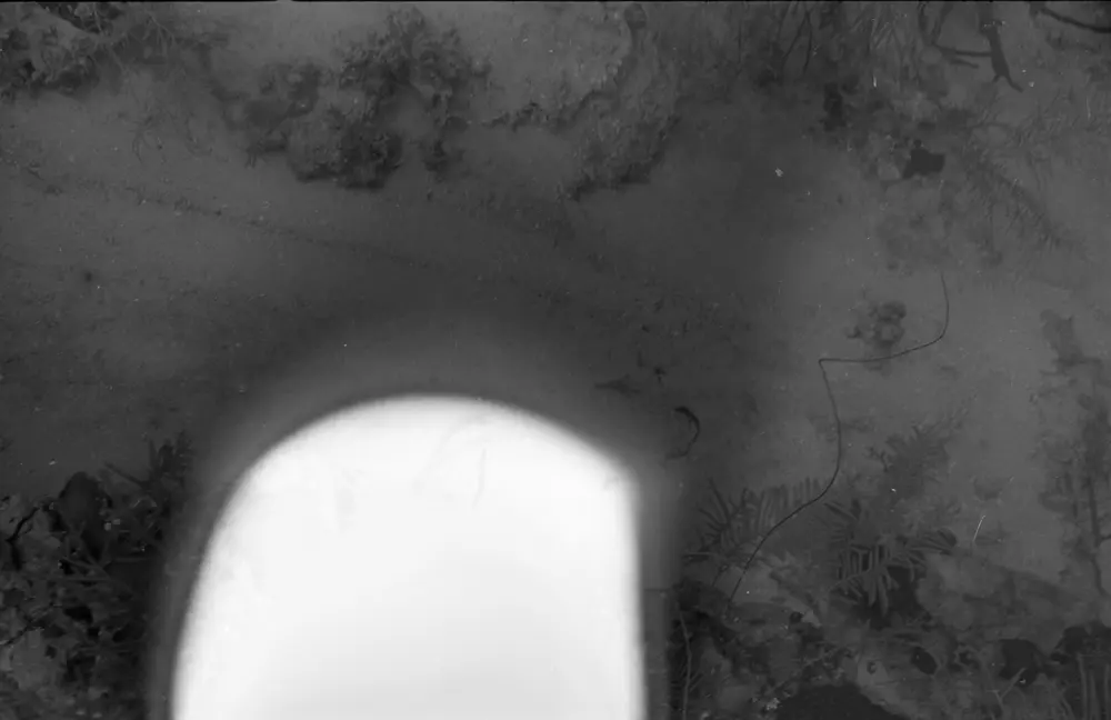 **mediaID: **10.5281/zenodo.22663465-IMG0780.png<br>**year: **1966<br>**waterBody: **Caribbean Sea<br>**country: **Jamaica<br>**county: **Saint Ann Parish, Middlesex County<br>**municipality: **Discovery Bay<br>**location: **<br>**decimalLongitude: **-77.40908<br>**decimalLatitude: **18.47322<br>**georeferenceRemarks: **Exact coordinates unknown. Inferred from site map. Coordinates precise to approximately 0.0025 degress (~250 m).<br>**mediaComments: **