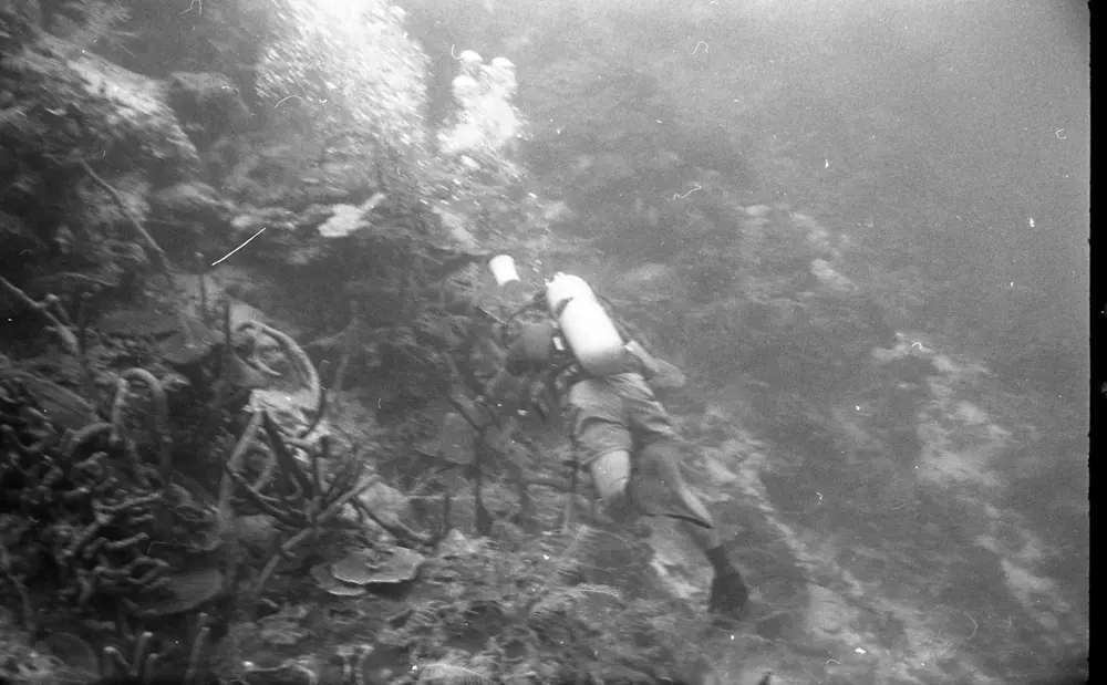**mediaID: **10.5281/zenodo.22663465-IMG0787.png<br>**year: **1966<br>**waterBody: **Caribbean Sea<br>**country: **Jamaica<br>**county: **Saint Ann Parish, Middlesex County<br>**municipality: **Discovery Bay<br>**location: **<br>**decimalLongitude: **-77.40908<br>**decimalLatitude: **18.47325<br>**georeferenceRemarks: **Exact coordinates unknown. Inferred from site map. Coordinates precise to approximately 0.0025 degress (~250 m).<br>**mediaComments: **