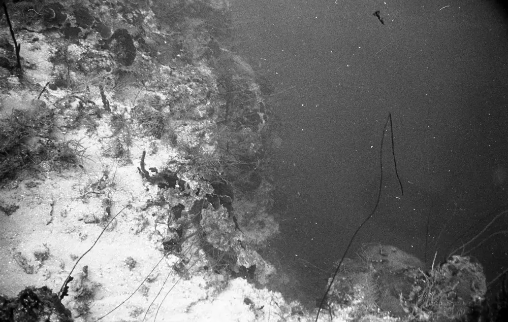 **mediaID: **10.5281/zenodo.22663465-IMG0789.png<br>**year: **1966<br>**waterBody: **Caribbean Sea<br>**country: **Jamaica<br>**county: **Saint Ann Parish, Middlesex County<br>**municipality: **Discovery Bay<br>**location: **<br>**decimalLongitude: **-77.40908<br>**decimalLatitude: **18.47325<br>**georeferenceRemarks: **Exact coordinates unknown. Inferred from site map. Coordinates precise to approximately 0.0025 degress (~250 m).<br>**mediaComments: **