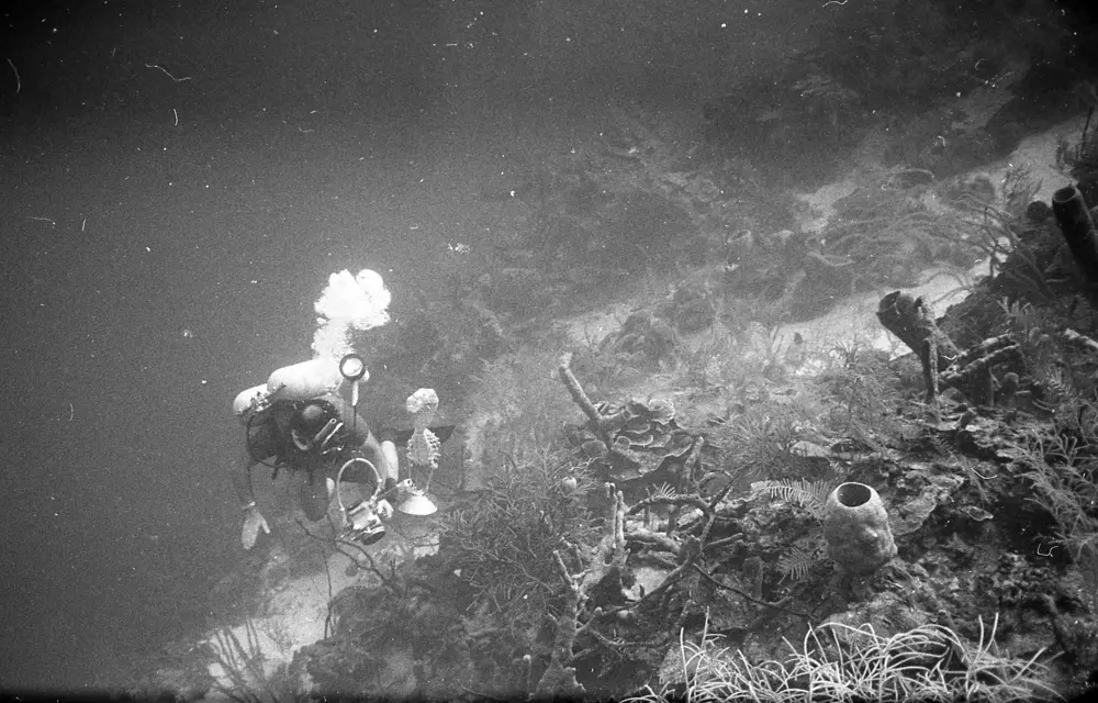 **mediaID: **10.5281/zenodo.22663465-IMG0796.png<br>**year: **1966<br>**waterBody: **Caribbean Sea<br>**country: **Jamaica<br>**county: **Saint Ann Parish, Middlesex County<br>**municipality: **Discovery Bay<br>**location: **<br>**decimalLongitude: **-77.40908<br>**decimalLatitude: **18.47325<br>**georeferenceRemarks: **Exact coordinates unknown. Inferred from site map. Coordinates precise to approximately 0.0025 degress (~250 m).<br>**mediaComments: **