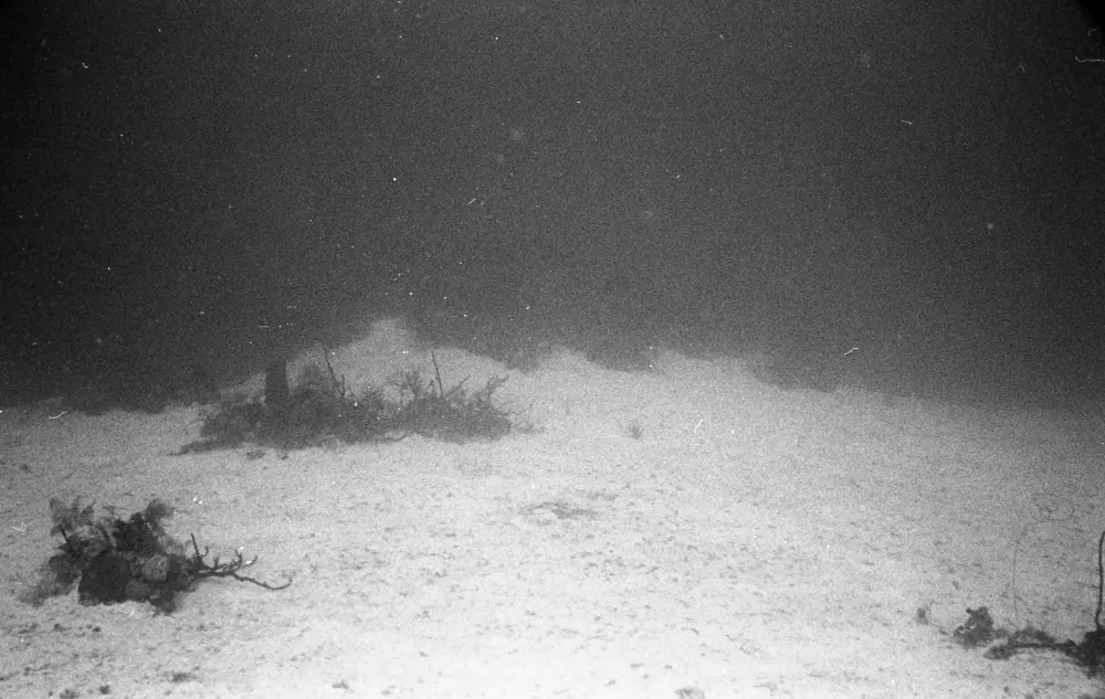 **mediaID: **10.5281/zenodo.22663465-IMG0797.png<br>**year: **1966<br>**waterBody: **Caribbean Sea<br>**country: **Jamaica<br>**county: **Saint Ann Parish, Middlesex County<br>**municipality: **Discovery Bay<br>**location: **<br>**decimalLongitude: **-77.38917<br>**decimalLatitude: **18.46917<br>**georeferenceRemarks: **Exact coordinates unknown. Inferred from site map. Coordinates precise to approximately 0.0025 degress (~250 m).<br>**mediaComments: **