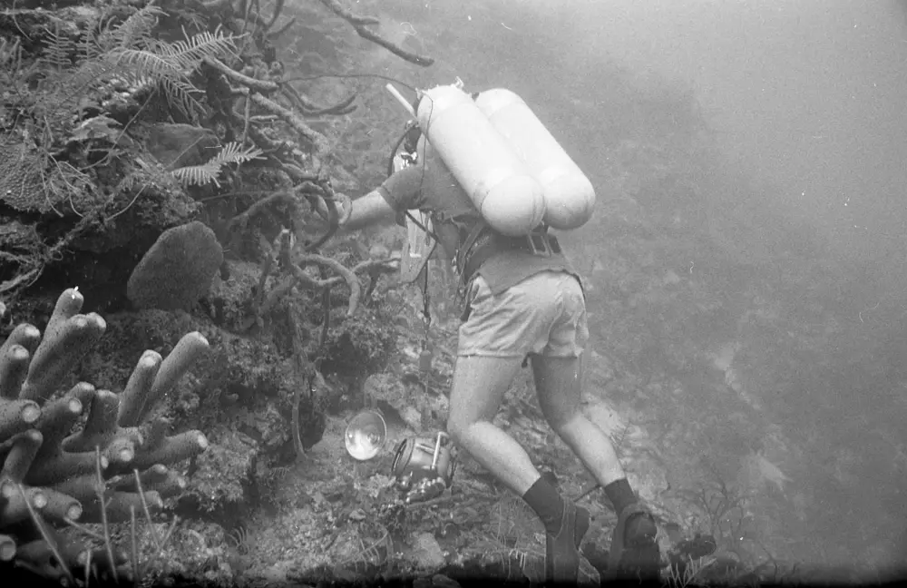 **mediaID: **10.5281/zenodo.22663465-IMG0801.png<br>**year: **1966<br>**waterBody: **Caribbean Sea<br>**country: **Jamaica<br>**county: **Saint Ann Parish, Middlesex County<br>**municipality: **Discovery Bay<br>**location: **<br>**decimalLongitude: **-77.38917<br>**decimalLatitude: **18.46917<br>**georeferenceRemarks: **Exact coordinates unknown. Inferred from site map. Coordinates precise to approximately 0.0025 degress (~250 m).<br>**mediaComments: **