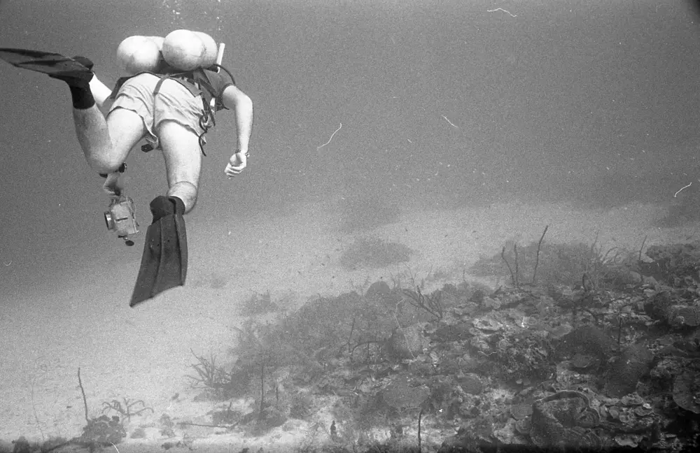 **mediaID: **10.5281/zenodo.22663465-IMG0803.png<br>**year: **1966<br>**waterBody: **Caribbean Sea<br>**country: **Jamaica<br>**county: **Saint Ann Parish, Middlesex County<br>**municipality: **Discovery Bay<br>**location: **<br>**decimalLongitude: **-77.38917<br>**decimalLatitude: **18.46917<br>**georeferenceRemarks: **Exact coordinates unknown. Inferred from site map. Coordinates precise to approximately 0.0025 degress (~250 m).<br>**mediaComments: **