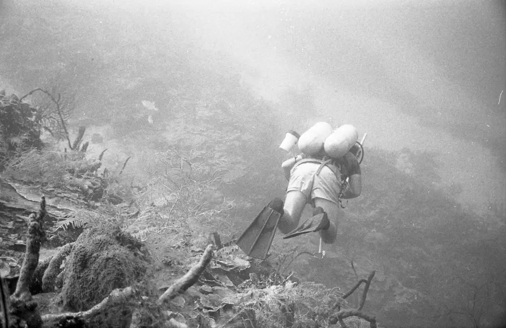 **mediaID: **10.5281/zenodo.22663465-IMG0814.png<br>**year: **1966<br>**waterBody: **Caribbean Sea<br>**country: **Jamaica<br>**county: **Saint Ann Parish, Middlesex County<br>**municipality: **Discovery Bay<br>**location: **<br>**decimalLongitude: **-77.38917<br>**decimalLatitude: **18.46917<br>**georeferenceRemarks: **Exact coordinates unknown. Inferred from site map. Coordinates precise to approximately 0.0025 degress (~250 m).<br>**mediaComments: **