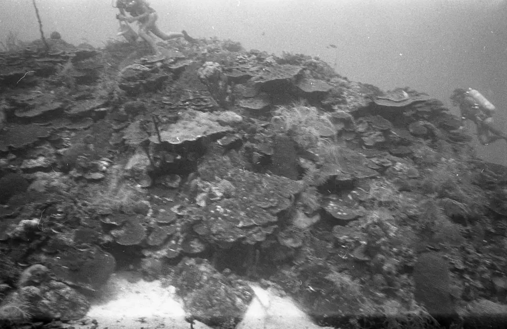 **mediaID: **10.5281/zenodo.22663465-IMG0878.png<br>**year: **1966<br>**waterBody: **Caribbean Sea<br>**country: **Jamaica<br>**county: **Saint Ann Parish, Middlesex County<br>**municipality: **Discovery Bay<br>**location: **<br>**decimalLongitude: **-77.41017<br>**decimalLatitude: **18.47367<br>**georeferenceRemarks: **Exact coordinates unknown. Inferred from site map. Coordinates precise to approximately 0.0025 degress (~250 m).<br>**mediaComments: **