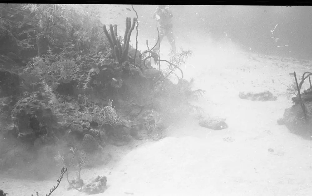 **mediaID: **10.5281/zenodo.22663465-IMG0885.png<br>**year: **1966<br>**waterBody: **Caribbean Sea<br>**country: **Jamaica<br>**county: **Saint Ann Parish, Middlesex County<br>**municipality: **Discovery Bay<br>**location: **<br>**decimalLongitude: **-77.41017<br>**decimalLatitude: **18.47367<br>**georeferenceRemarks: **Exact coordinates unknown. Inferred from site map. Coordinates precise to approximately 0.0025 degress (~250 m).<br>**mediaComments: **