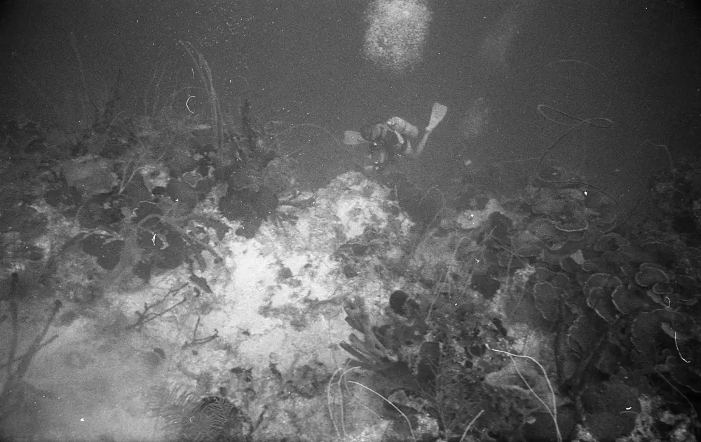 **mediaID: **10.5281/zenodo.22663465-IMG1267.png<br>**year: **1967<br>**waterBody: **Caribbean Sea<br>**country: **Jamaica<br>**county: **Saint Ann Parish, Middlesex County<br>**municipality: **Discovery Bay<br>**location: **<br>**decimalLongitude: **-77.40908<br>**decimalLatitude: **18.47325<br>**georeferenceRemarks: **Exact coordinates unknown. Inferred from site map. Coordinates precise to approximately 0.0025 degress (~250 m).<br>**mediaComments: **