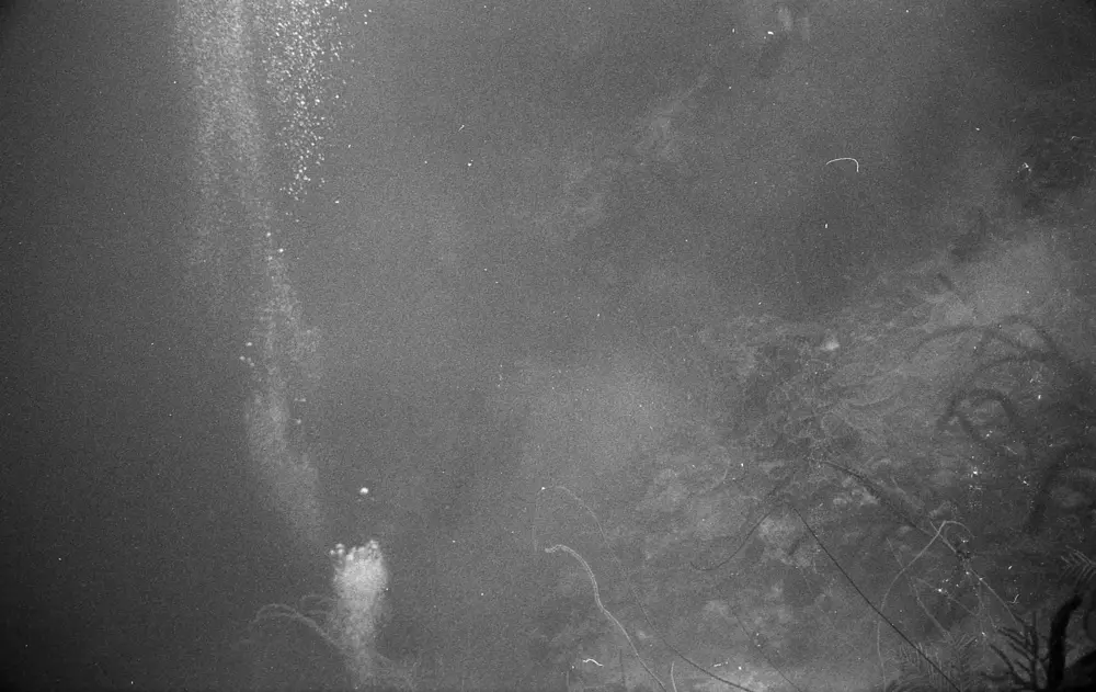 **mediaID: **10.5281/zenodo.22663465-IMG1268.png<br>**year: **1967<br>**waterBody: **Caribbean Sea<br>**country: **Jamaica<br>**county: **Saint Ann Parish, Middlesex County<br>**municipality: **Discovery Bay<br>**location: **<br>**decimalLongitude: **-77.40908<br>**decimalLatitude: **18.47325<br>**georeferenceRemarks: **Exact coordinates unknown. Inferred from site map. Coordinates precise to approximately 0.0025 degress (~250 m).<br>**mediaComments: **