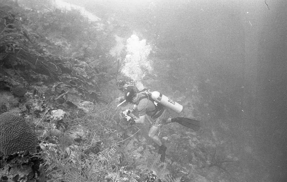 **mediaID: **10.5281/zenodo.22663465-IMG1307.png<br>**year: **1967<br>**waterBody: **Caribbean Sea<br>**country: **Jamaica<br>**county: **Saint Ann Parish, Middlesex County<br>**municipality: **Discovery Bay<br>**location: **<br>**decimalLongitude: **-77.40908<br>**decimalLatitude: **18.47325<br>**georeferenceRemarks: **Exact coordinates unknown. Inferred from site map. Coordinates precise to approximately 0.0025 degress (~250 m).<br>**mediaComments: **
