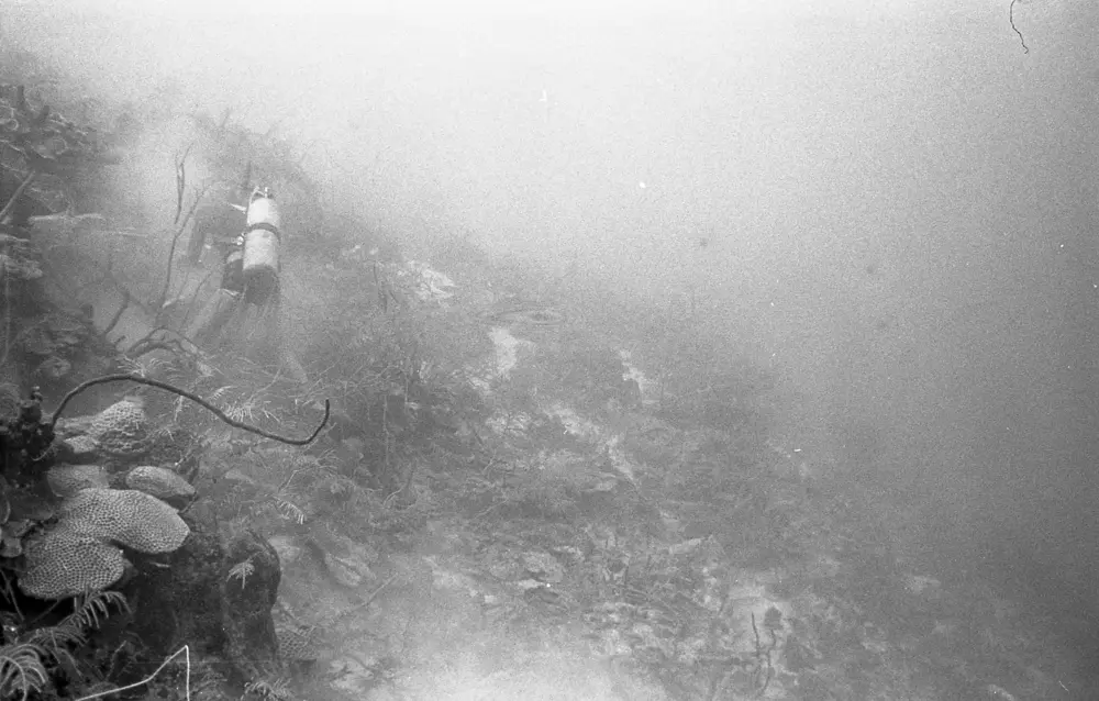 **mediaID: **10.5281/zenodo.22663465-IMG1312.png<br>**year: **1967<br>**waterBody: **Caribbean Sea<br>**country: **Jamaica<br>**county: **Saint Ann Parish, Middlesex County<br>**municipality: **Discovery Bay<br>**location: **<br>**decimalLongitude: **-77.40908<br>**decimalLatitude: **18.47325<br>**georeferenceRemarks: **Exact coordinates unknown. Inferred from site map. Coordinates precise to approximately 0.0025 degress (~250 m).<br>**mediaComments: **