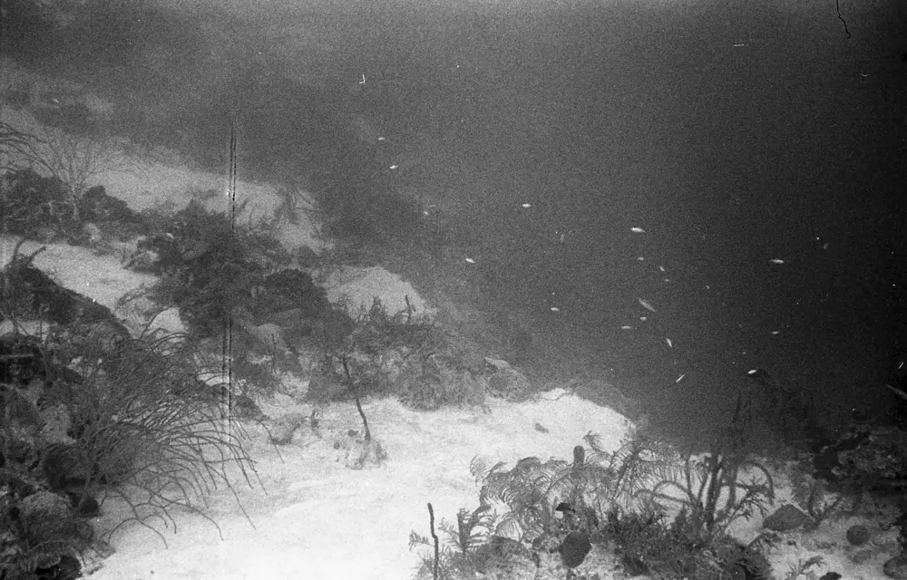 **mediaID: **10.5281/zenodo.22663465-IMG1322.png<br>**year: **1967<br>**waterBody: **Caribbean Sea<br>**country: **Jamaica<br>**county: **Saint Ann Parish, Middlesex County<br>**municipality: **Discovery Bay<br>**location: **<br>**decimalLongitude: **-77.40908<br>**decimalLatitude: **18.47325<br>**georeferenceRemarks: **Exact coordinates unknown. Inferred from site map. Coordinates precise to approximately 0.0025 degress (~250 m).<br>**mediaComments: **