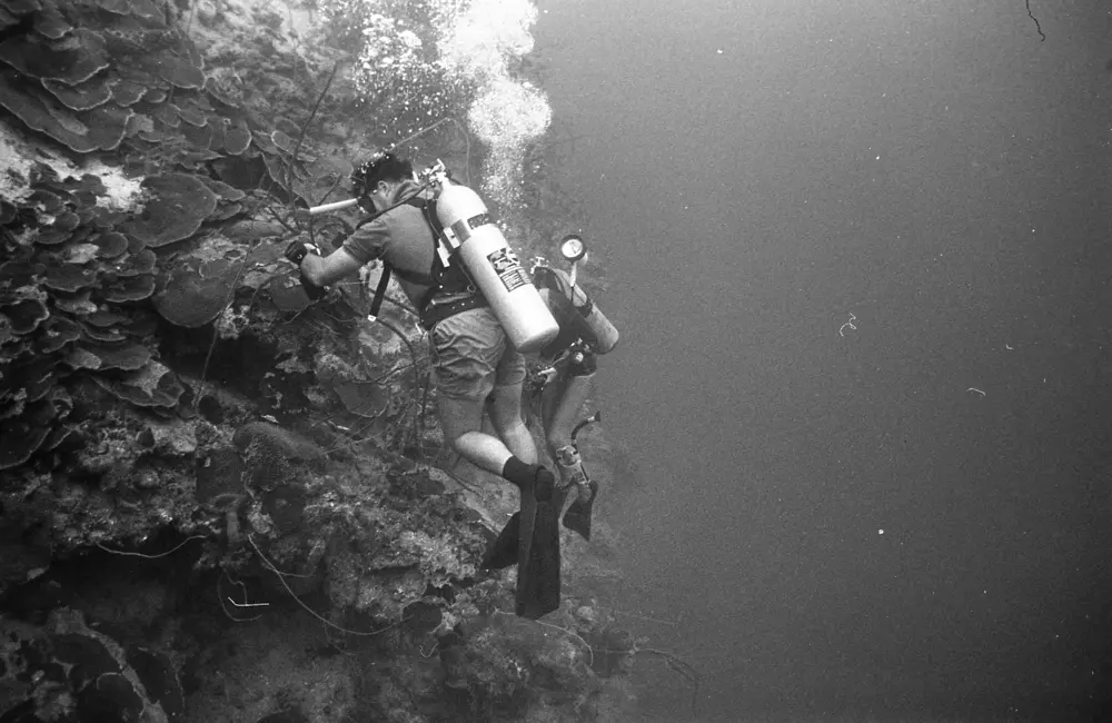 **mediaID: **10.5281/zenodo.22663465-IMG1324.png<br>**year: **1967<br>**waterBody: **Caribbean Sea<br>**country: **Jamaica<br>**county: **Saint Ann Parish, Middlesex County<br>**municipality: **Discovery Bay<br>**location: **<br>**decimalLongitude: **-77.40908<br>**decimalLatitude: **18.47325<br>**georeferenceRemarks: **Exact coordinates unknown. Inferred from site map. Coordinates precise to approximately 0.0025 degress (~250 m).<br>**mediaComments: **