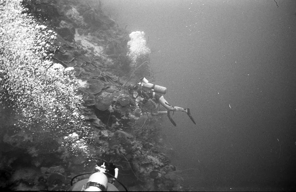 **mediaID: **10.5281/zenodo.22663465-IMG1326.png<br>**year: **1967<br>**waterBody: **Caribbean Sea<br>**country: **Jamaica<br>**county: **Saint Ann Parish, Middlesex County<br>**municipality: **Discovery Bay<br>**location: **<br>**decimalLongitude: **-77.40908<br>**decimalLatitude: **18.47325<br>**georeferenceRemarks: **Exact coordinates unknown. Inferred from site map. Coordinates precise to approximately 0.0025 degress (~250 m).<br>**mediaComments: **