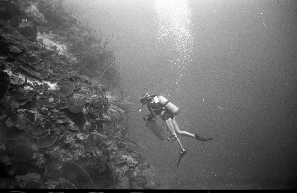 **mediaID: **10.5281/zenodo.22663465-IMG1327.png<br>**year: **1967<br>**waterBody: **Caribbean Sea<br>**country: **Jamaica<br>**county: **Saint Ann Parish, Middlesex County<br>**municipality: **Discovery Bay<br>**location: **<br>**decimalLongitude: **-77.40908<br>**decimalLatitude: **18.47325<br>**georeferenceRemarks: **Exact coordinates unknown. Inferred from site map. Coordinates precise to approximately 0.0025 degress (~250 m).<br>**mediaComments: **