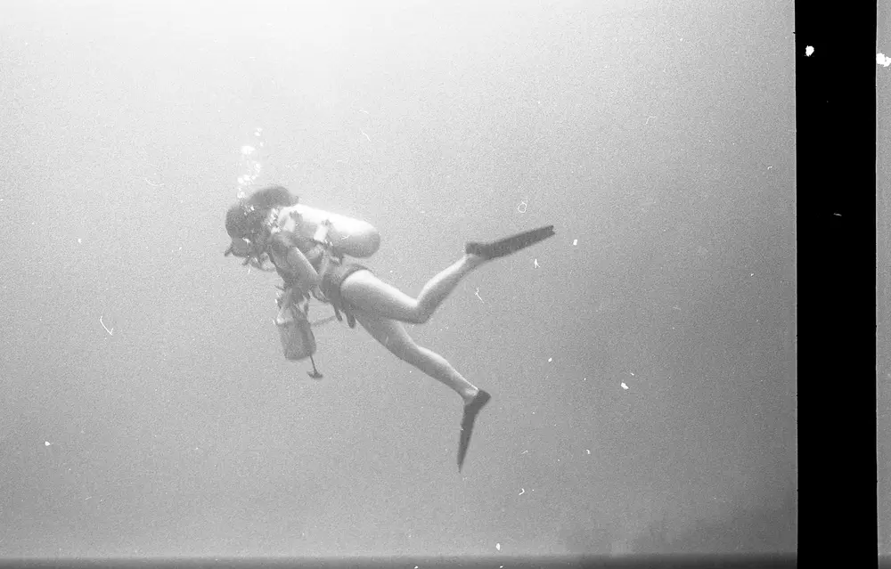 **UUID: **bd29a250-a748-4cc0-8032-22d2b895666a<br>**Date: **1966-07-24<br>**Location: **Jamaica | Discovery Bay | Upper Buoy Terrace<br>**Longitude: **77.40908ºW<br>**Latitude: **18.47322ºN<br>**Photographer: **Eileen Graham<br>**Copyright: **Trustees of the Natural History Museum (London, UK), CC-BY-4.0