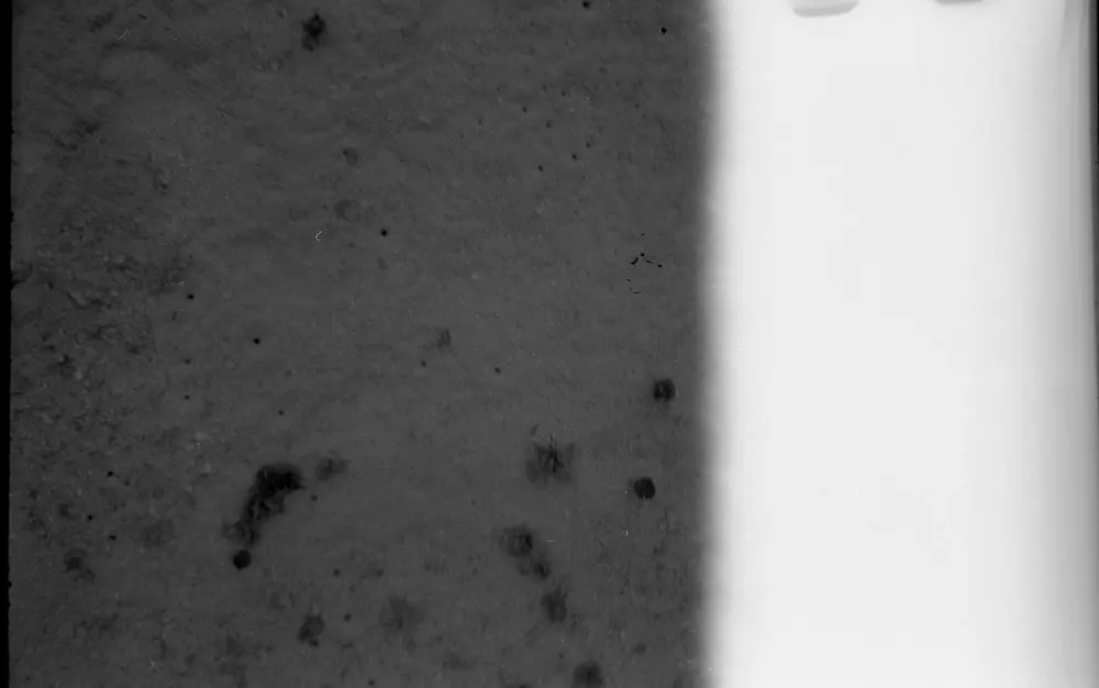 **UUID: **f18c2b7a-3a97-44d3-8640-ae14ef49c314<br>**Date: **1967-10-27<br>**Location: **Jamaica | Discovery Bay | Pinnacle 1 Slope<br>**Longitude: **77.41017ºW<br>**Latitude: **18.47367ºN<br>**Photographer: **Eileen Graham<br>**Copyright: **Trustees of the Natural History Museum (London, UK), CC-BY-4.0