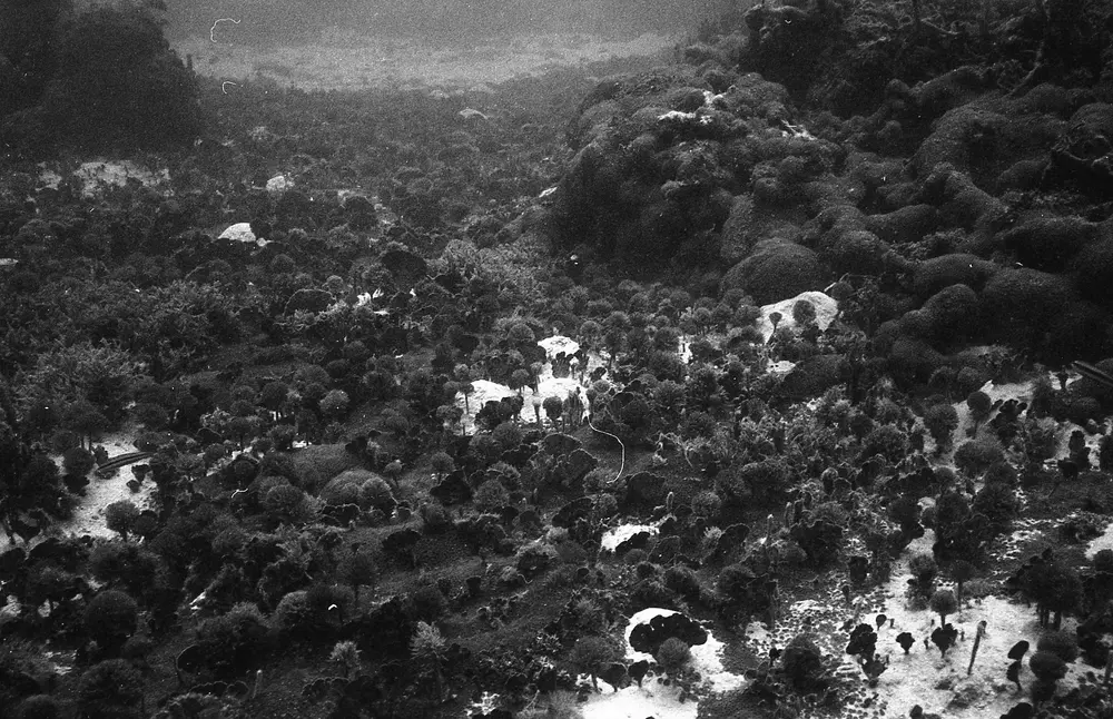 **UUID: **01059edb-5c31-44d3-80f8-cca8e17eb538<br>**Date: **1966-09-22<br>**Location: **Jamaica | Discovery Bay | Silver Seas<br>**Longitude: **77.4599ºW<br>**Latitude: **18.4789ºN<br>**Photographer: **Eileen Graham<br>**Copyright: **Trustees of the Natural History Museum (London, UK), CC-BY-4.0