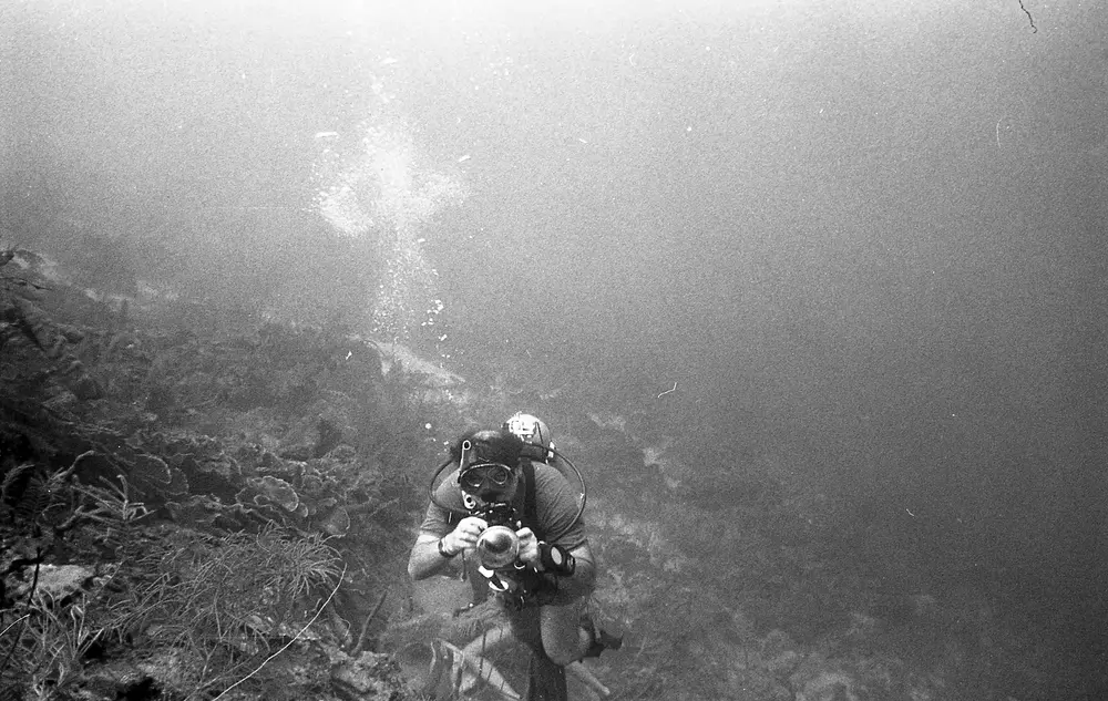 **UUID: **b7075bd1-bc1e-41a9-8c4b-910f69fe4d41<br>**Date: **1967-01-21<br>**Location: **Jamaica | Discovery Bay | Buoy Deep<br>**Longitude: **77.40908ºW<br>**Latitude: **18.47325ºN<br>**Photographer: **Eileen Graham<br>**Copyright: **Trustees of the Natural History Museum (London, UK), CC-BY-4.0