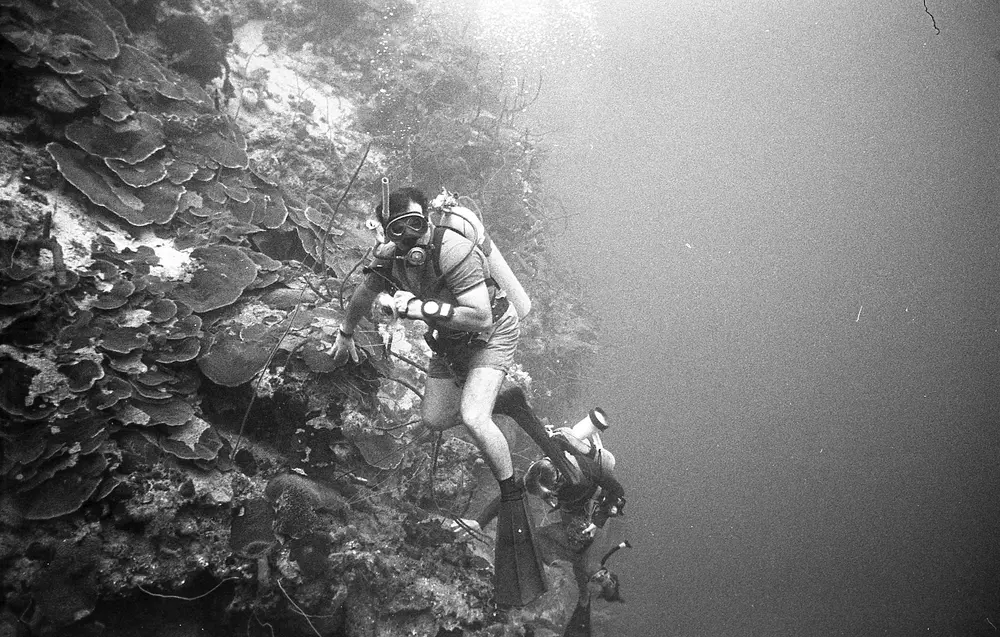 **UUID: **43397871-d840-4ecb-9962-c76e3761acd4<br>**Date: **1967-01-22<br>**Location: **Jamaica | Discovery Bay | Buoy Deep<br>**Longitude: **77.40908ºW<br>**Latitude: **18.47325ºN<br>**Photographer: **Eileen Graham<br>**Copyright: **Trustees of the Natural History Museum (London, UK), CC-BY-4.0